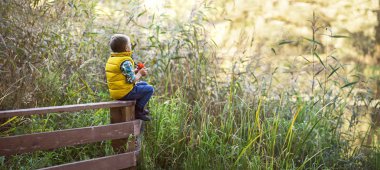 Göl kenarındaki sazlar içinde ahşap bir çit oturan ve sonbahar günü sıcak ortamı keşfetmek dürbün olan küçük çocuk. Geniş büyük panorama