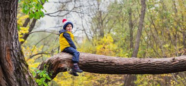 Küçük bir çocuk clambers, dengeleri ve sıcak giysiler ve bir şapka ile bir punpon güneşli bir günde bir sarı sonbahar ormanda giymiş bir düşmüş ağaç gövdesi üzerinde oturur. Uzun geniş panorama