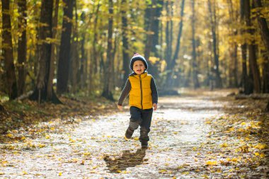 Ponpon ile örgü şapkalı küçük mutlu çocuk Sonbahar Park yol boyunca güneşli bir günde çalışır