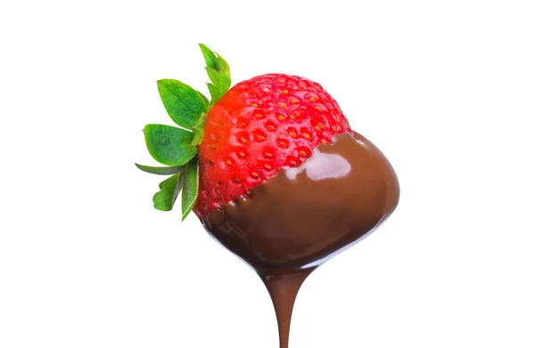 Fondue Fraise Trempée Dans Chocolat Noir Chaud Sur Une Fourchette — Photo