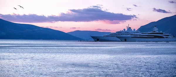 Luxury Super Yachts Marina Silhouette Mountains Pink Sunset Porto Montenergo — Stock Photo, Image