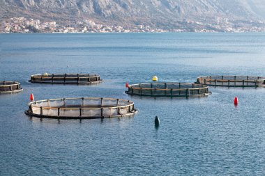 Dağların fon karşı Bay balık çiftliği