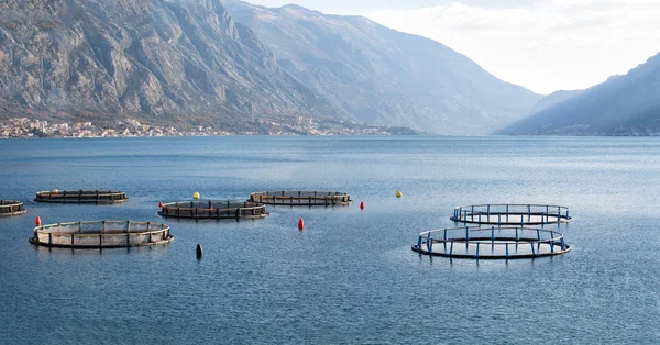 Fish farm in the bay against the backdrop of the mountains
