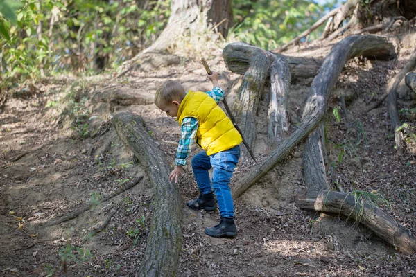 Jeune Garçon Avec Bâton Seul Grimpe Montagne Avec Une Forêt — Photo