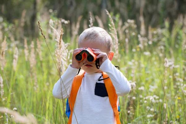 Young explorer watching with binoculars of birds in the high gra — Stock Photo, Image