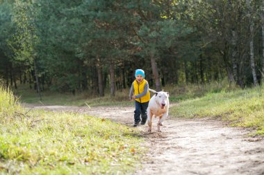 Genç çocuk ve onun en iyi arkadaşı beyaz Ingiliz boğa Terrier güneşli bir yaz gününde doğada bir yürüyüş zevk.