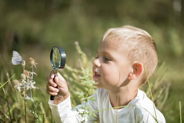 Young researcher explores nature with a magnifying glass — Stock Photo, Image