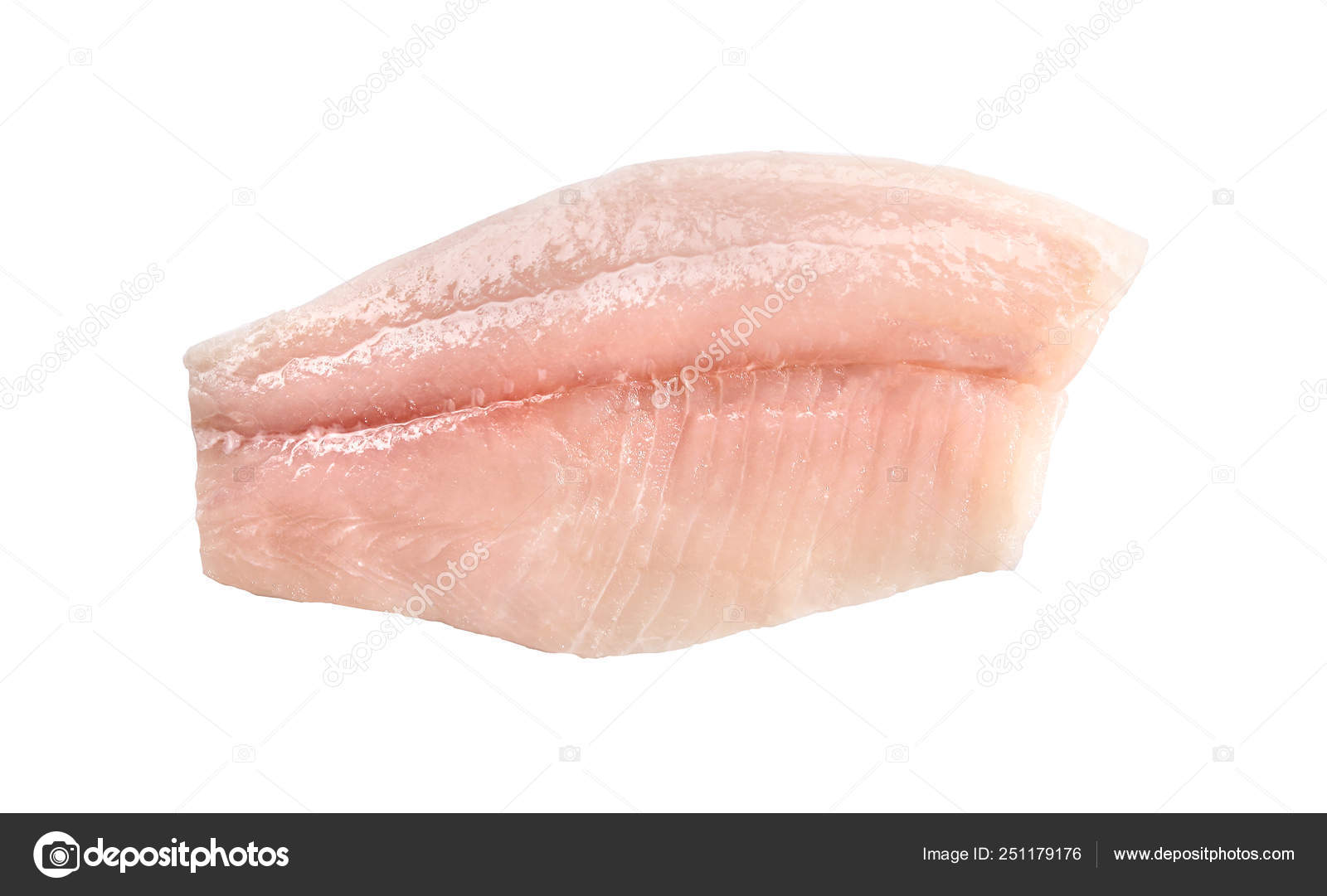 Imagens de Perca del nilo sem royalties | DepositPhotos, image size:1600x1081