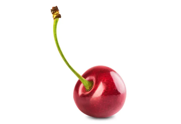 Single ripe cherry Stock Photo