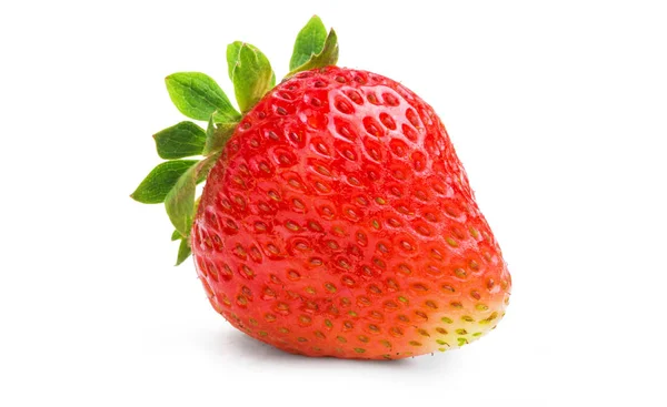 단일 익은 딸기 — 스톡 사진