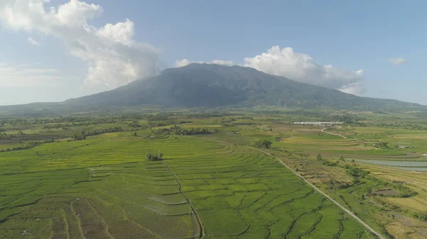Hegyi völgy mezőgazdasági földekkel a Fülöp-szigeteken. — Stock Fotó