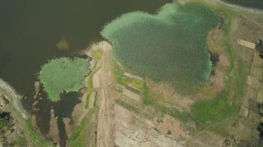 Filipinler 'deki Paoay Gölü manzarası.