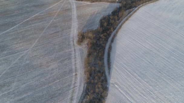 Зимовий пейзаж з лісом, поле. Зимовий пейзаж . — стокове відео