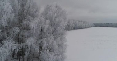 Kış manzara orman ile alan. Kış manzarası.