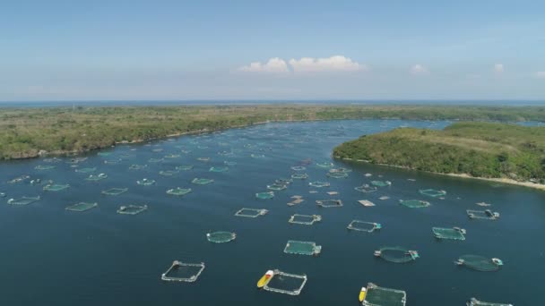 Fazenda de peixes no mar. — Vídeo de Stock