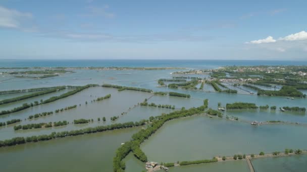 Stad onder het water in de mangroven. — Stockvideo