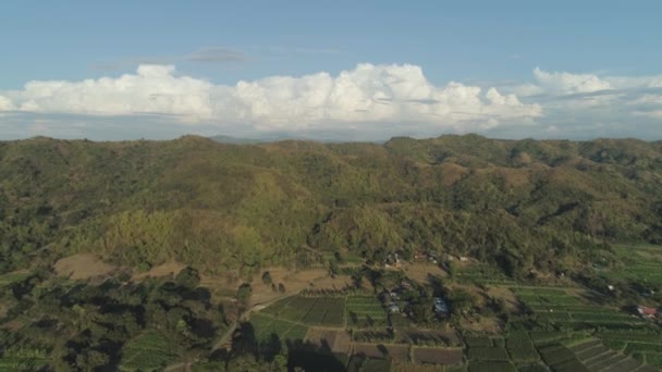 Berglandschap op het eiland Luzon, Filipijnen. — Stockvideo