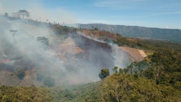 Vue aérienne Incendie de forêt. Île de Jawa, Indonésie . — Video