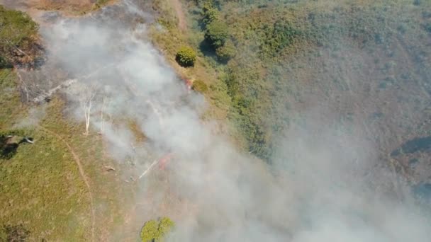 Vista aérea Fogo florestal. Ilha de Jawa, Indonésia . — Vídeo de Stock