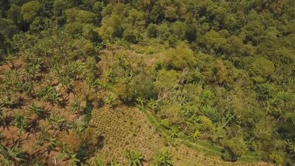 Tierras agrícolas en las montañas y las nubes. Bali, Indonesia — Vídeos de Stock