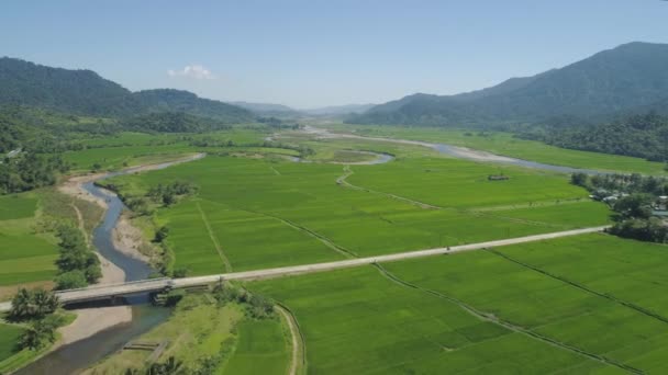 Vale da montanha com terras agrícolas nas Filipinas — Vídeo de Stock