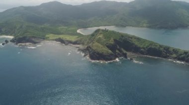 Palau adasının kıyısında. Filipinler.