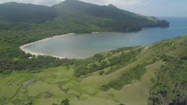 Palau adasının kıyısında. Filipinler.