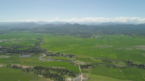 Landschaft mit Reisterrassenfeld. Philippinen, Luzon. — Stockvideo