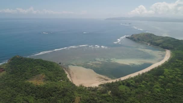 Côte de l'île des Palaos. Philippines.