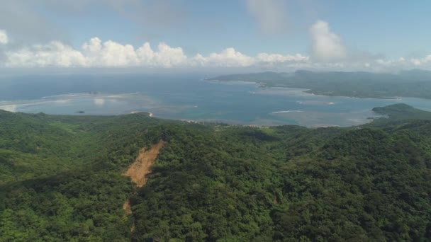 Costa da ilha de Palau. Filipinas. — Vídeo de Stock