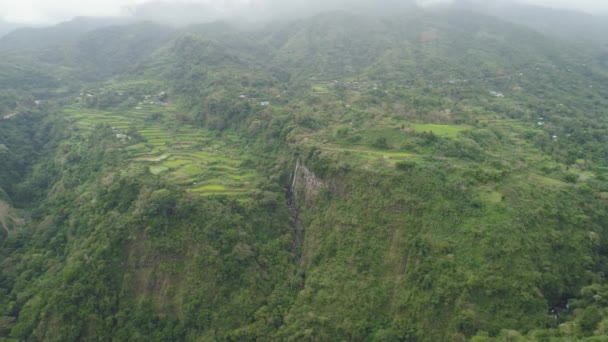 Terrasses de riz dans les montagnes. — Video