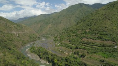 Dağlarda pirinç terasları.