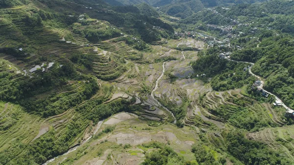 Рисовые террасы в горах. Филиппины, Батад, Банауэ. — стоковое фото