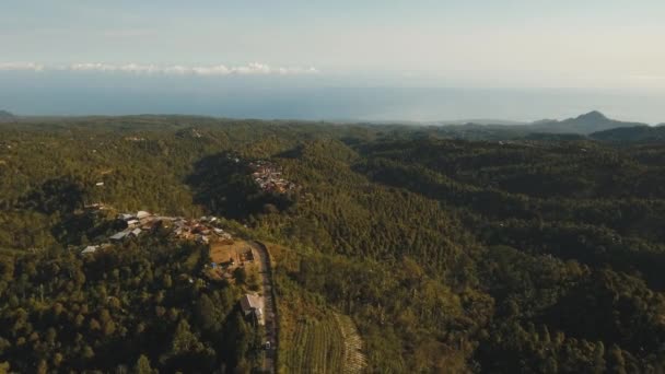 Berglandschaft mit Wald und Dorf bali, Indonesien. — Stockvideo