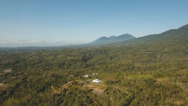 Paisaje de montaña con tierras de cultivo, Bali, Indonesia — Vídeo de stock