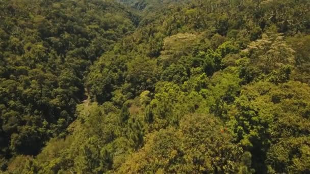 Río en la selva Bali, Indonesia . — Vídeo de stock