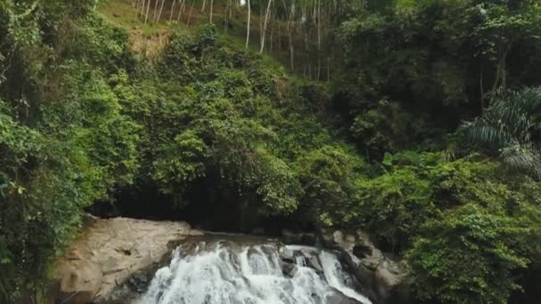 Schöner tropischer Wasserfall. Bali, Indonesien. — Stockvideo