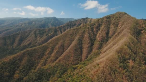 Blick auf die Bergwaldlandschaft. Bali — Stockvideo