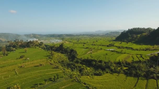 Paisaje de montaña con arrozal Bali, Indonesia — Vídeos de Stock