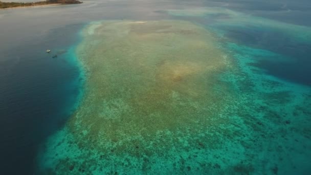 Mercan kayalıkları mercan adası, Bali. — Stok video