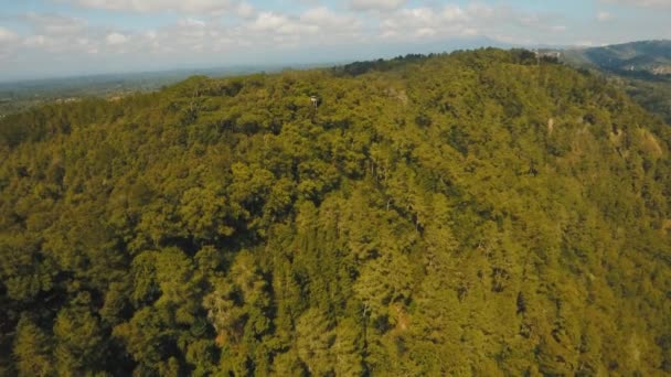 Vista del paisaje del bosque de montaña. Bali. — Vídeos de Stock
