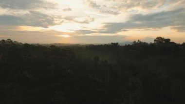 Günbatımında tropik manzara, Bali, Endonezya.