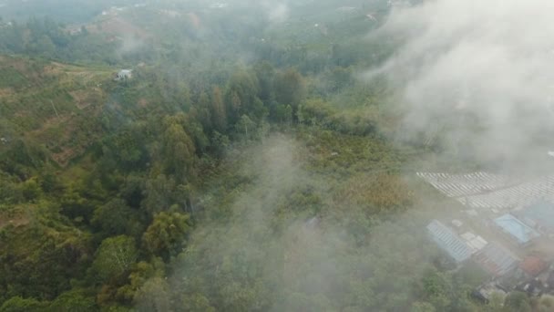 Ackerland in den Bergen in der Wolke. Bali, Indonesien. — Stockvideo