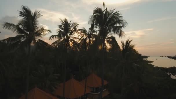 समुद्र तट पर सूर्यास्त। बाली, इंडोनेशिया . — स्टॉक वीडियो