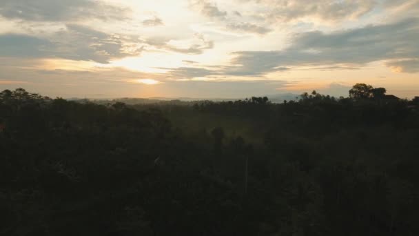 Tropikalny krajobraz o zachodzie słońca, Bali, Indonezja. — Wideo stockowe