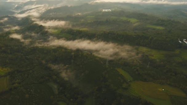 Vue du paysage montagneux. Bali — Video