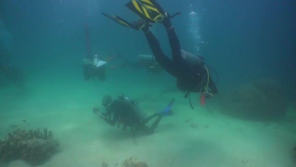 Mergulhadores submersos. Filipinas, Mindoro . — Vídeo de Stock