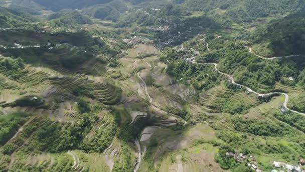 Ταράτσες ρυζιού στα βουνά. Φιλιππίνες, Batad, Banaue. — Αρχείο Βίντεο