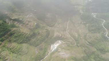 Dağlarda pirinç terasları. Filipinler, Batad, Banaue.