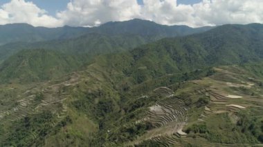 Dağlarda pirinç terasları.